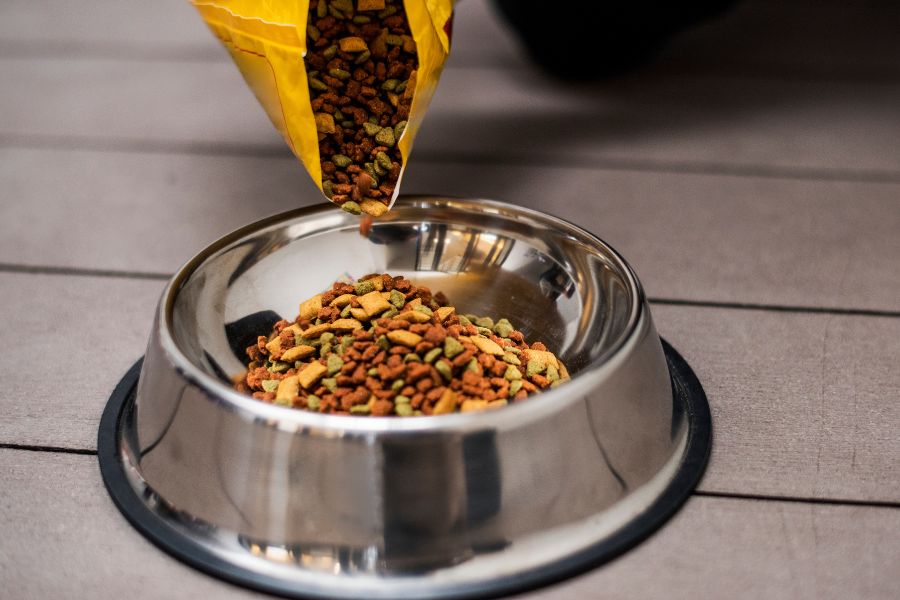 Pet Nutrition